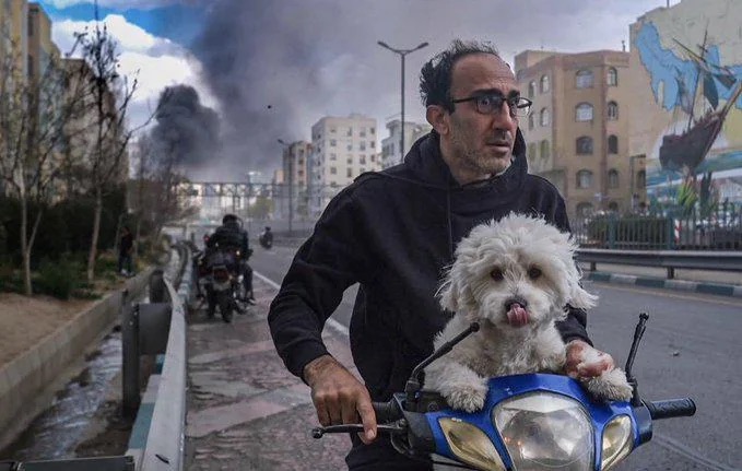 A man, with his little white dog on his handlebar basket, flees bombs in Tehran. The terror in the man’s eyes is the subject of the photo, almost a presence of its own.